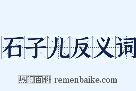 石子儿反义词是什么意思的图片